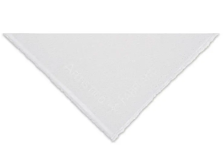 Arches Artistico Watercolor Paper – Extra White, Torchon Texture, 22 × 30 Inches 1