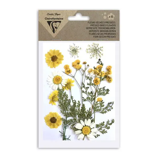 Assorted Dried Flower Mix – 12-Piece Yellow Botanical Pack 1