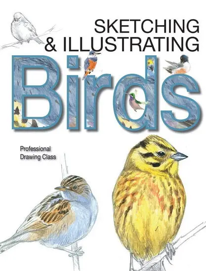 Bird Sketching & Illustration Guide – Professional Drawing Course 1