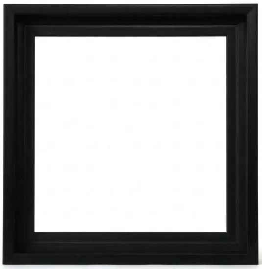 Black Floating Museum Display Frame – 24×24 Inch 1