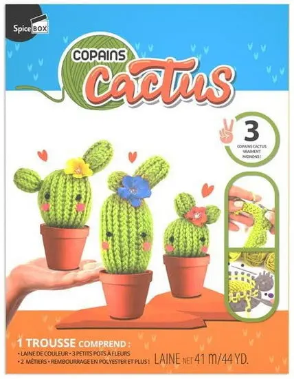 Cactus-Themed Spice Storage Box – Copains Collection 1