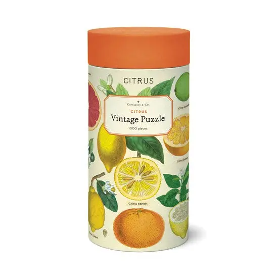 Citrus-Themed Jigsaw Puzzle – 1000-Piece Adult Challenge 1