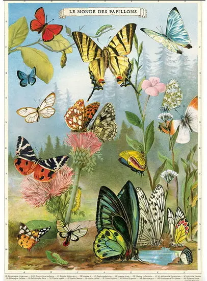 Decorative Butterfly Wrap – Premium Gift Or Craft Paper Roll 1
