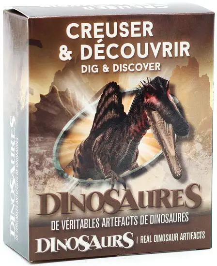 Dinosaur Bone Excavation Kit – Hands-On Discovery Activity 1