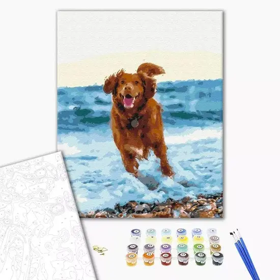 Dog In The Sea Paint-By-Numbers Kit For Beginners And Adults 1