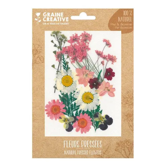 Dried Pressed Flowers – Pink Meadow Collection (16 Pcs) 1