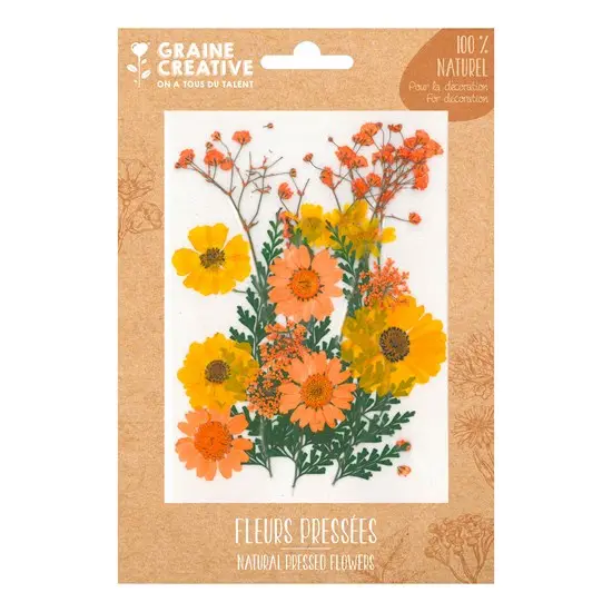 Dried Pressed Yellow Meadow Flowers – Natural Botanical Collection, 18 Pieces 1