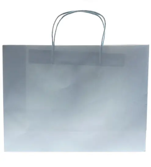 Extra-Large Blue Kraft Gift Bag – Sturdy Recycled Paper Packaging 1