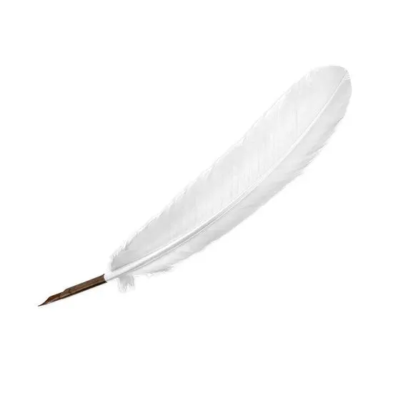 Ivory-Colored Quill Pen For Calligraphy And Traditional Ink Work 1