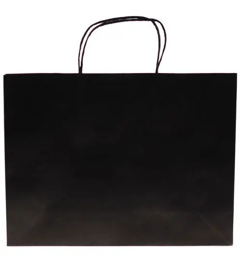 Large Kraft Paper Gift Bag – Matte Black Finish 1