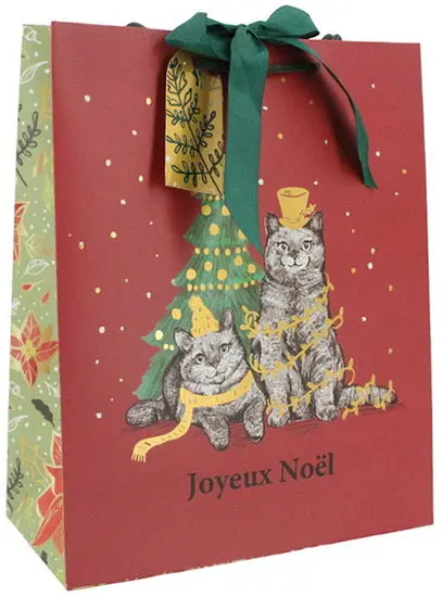 Medium Cat-Themed Tote Bag With Hats Design – French Edition 1