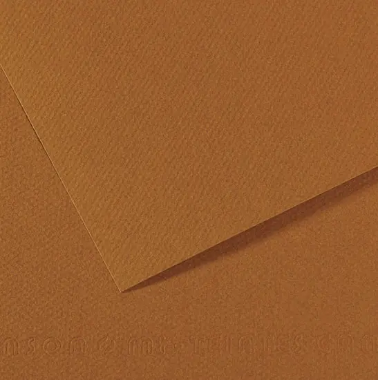 Mi-Teintes Colored Drawing Paper – Tobacco Tone, 160 Gsm, 50×60 Cm 1