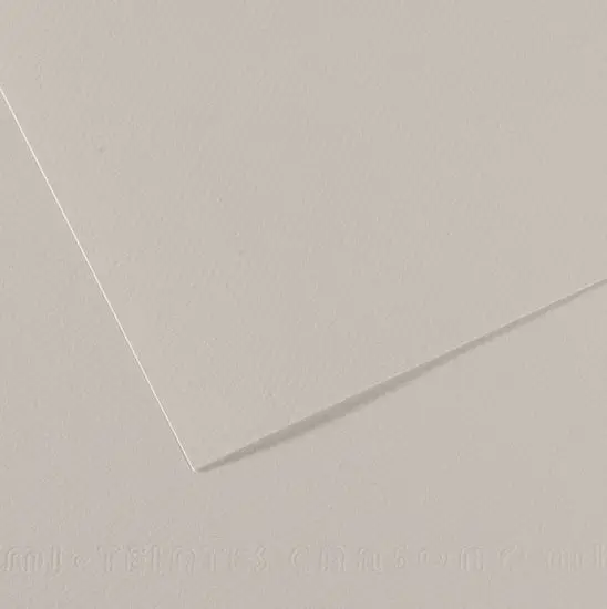Mi-Teintes Colored Paper – Pearl Gray, 160 Gsm, 50 × 60 Cm 1