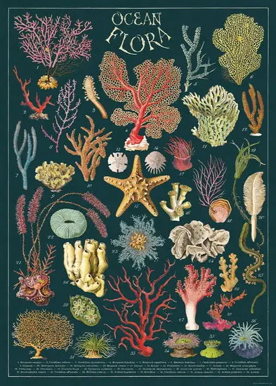 Ocean Flora Vintage-Style Poster Print – 20" X 28" Botanical Wall Art 1