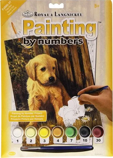 Paint-By-Numbers Kit For Kids – Adorable Puppy Designs 1