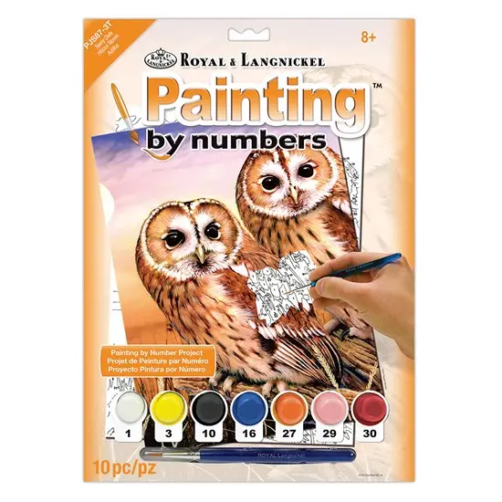 Paint-By-Numbers Kit For Kids: Owls Theme 1