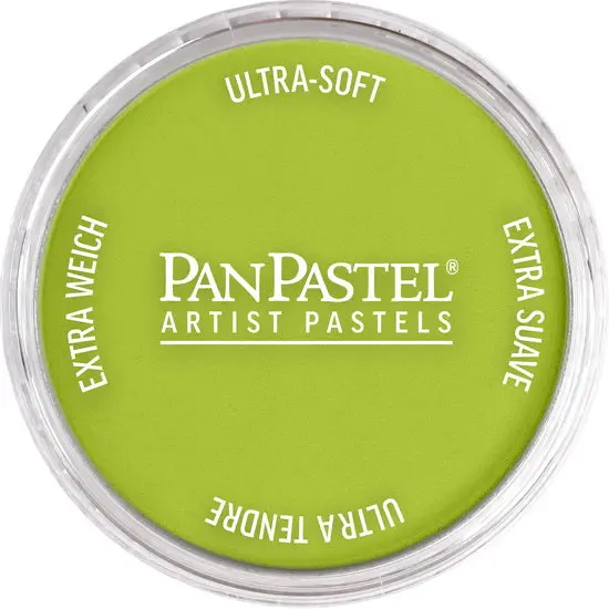 Panpastel Bright Yellow Green – 9 Ml 1