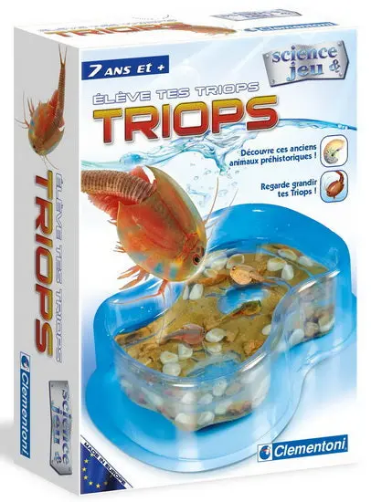 Raise Your Own Triops Kit – Live Aquatic Crustacean Starter Set 1