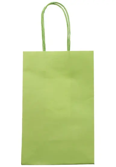 Small Kraft Paper Gift Bag – Green 1