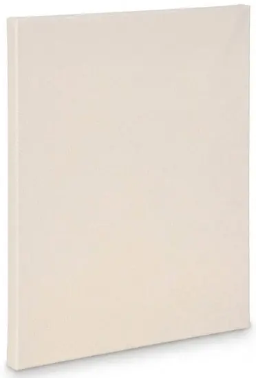 Standard Artist Canvas – 22×28 Inches, Stretched & Primed 1