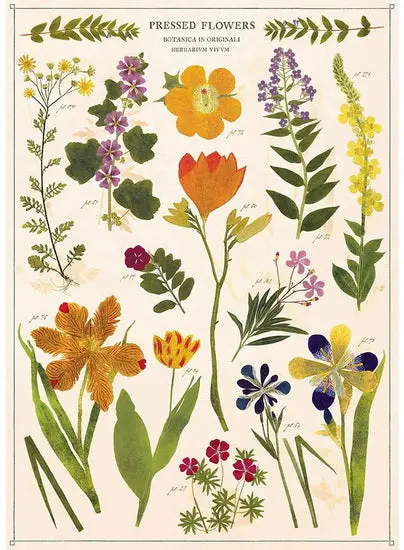 Vintage-Inspired Pressed Flower Poster – 20×28 Inches 1
