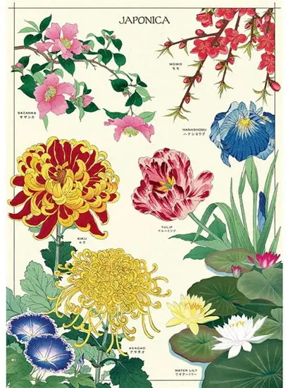 Vintage Japonica Botanical Poster – 20X28 Inch Retro Wall Art Print 1