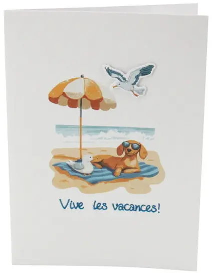 Vive Les Vacances! – French-Language Illustrated Book 1