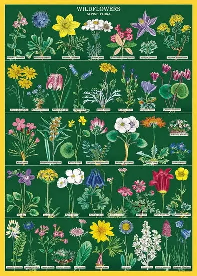 Wildflowers Decorative Gift Wrap – Premium Printed Paper Roll 1